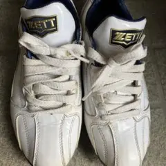 Item thumbnail for item fece863c-10d8-49d1-8ece-55053c453b17