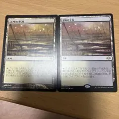 6/7まで]倍化の立方体 MTG2枚セット theList - メルカリ