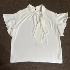 Item thumbnail for item a1b709ac-9680-44a3-a413-9ec6b32dae73