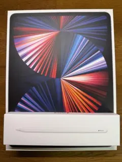 iPad Pro 12.9インチ (第5世代) + Apple Pencil2