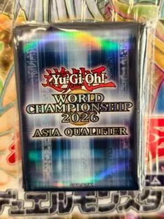 遊戯王 5D's WCQ 2011 スリーブ 73枚 2026年最新】遊戯王 スリーブ WCQ 2011の人気アイテム - メルカリ