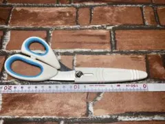 Item thumbnail for item 53bd1115-3540-4fb0-9ad9-e6d4b387af6c