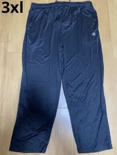 Pants champion / チャンピオンパンツ plus size