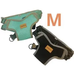 Item thumbnail for item 4537c83b-fccd-43f3-aac9-c586629de0e3