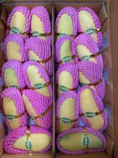 新鮮タイ産マハチャノックマンゴー5kg 泰国甘い芒果 - メルカリ
