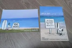 スヌーピー　 ビーチデザイン ポストカード　サーフショップ　オキナワ