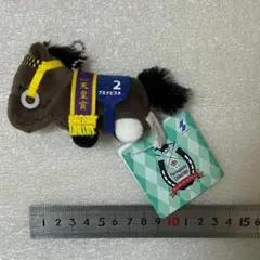 2026年最新】ブエナビスタ アイドルホースの人気アイテム - メルカリ