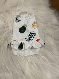 Item thumbnail for item 89c1b96b-e80a-4ef2-a64b-3f1fc7f22dea