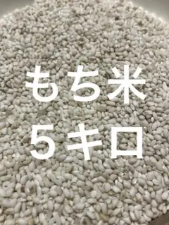もち米5キロ／令和7年産 千葉県産 幻の白い古代米／購入後籾摺り精米発送のサムネイル