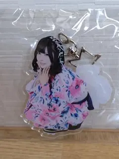 元ステミレイツ アナザーダイアリー ごみちゃん チェキホルダー （新品） 元ステミレイツ アナザーダイアリー ごみちゃん チェキホルダー