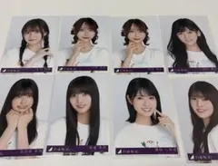 乃木坂46 生写真 39th Same numbers ヨリ8枚セット