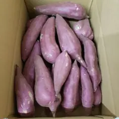 サツマイモ 茨城県産 紅あずま 箱含む5キロ