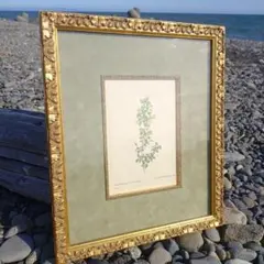 2025年最新】ルドゥーテ 額の人気アイテム - メルカリ