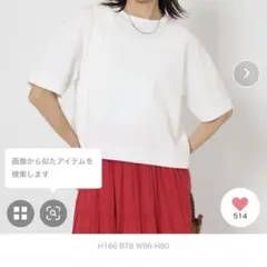 ユナイテッドアローズ　グリーンレーベル　クロップドポンチtシャツ