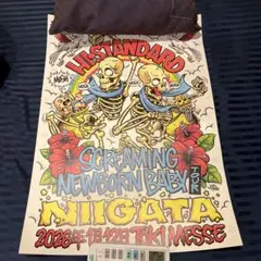 2026年最新】hi standard ポスターの人気アイテム - メルカリ