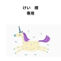 けい　様　専用