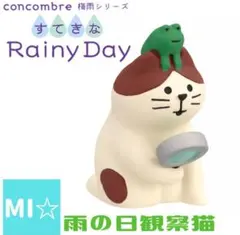 デコレ　コンコンブル　雨の日観察猫のサムネイル