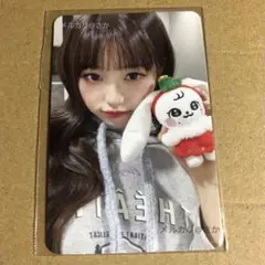 ive ウォニョン minive トレカ クリスマス クッション スクラッチ IVE ウォニョン MINIVE ぬいぐるみ 特典 I'VE クリスマス トレカ