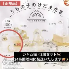 【新品未開封✨】うちの子けだまだま 猫　シャム猫 2個セット　当日＆匿名配送