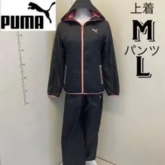 puma☆プーマ☆レディース　上下セット　中綿ジャケット/中綿パンツ　紺　M×L