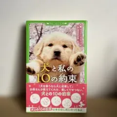 犬と私の10の約束 角川つばさ文庫