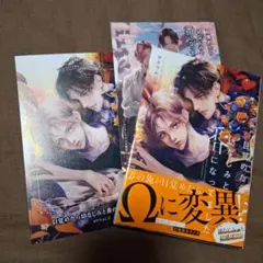 目覚めたら幼なじみと番になってました