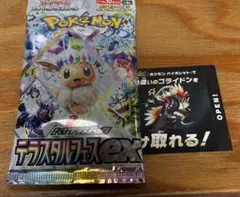 テラスタルフェス 色違い ミライドン コライドン SV