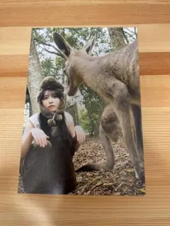 なかむー様 リクエスト 3点 まとめ商品