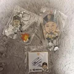 Item thumbnail for item 13d2d970-ad70-4267-bc89-4443c654c26e