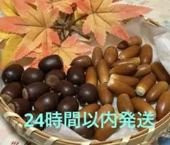 どんぐりミックス　　100個