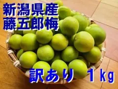 [번역 가능] 니가타현산 중소형 토고로 매실 1kg 1,570엔 (배송료 포함)