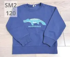 Samansa Mos2✦モササウルススウェット✦120