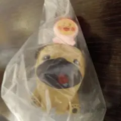 こびとづかんおすわりマスコット　4 シークレット