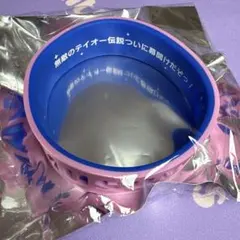 ウマ娘 トウカイテイオー シリコンバンド