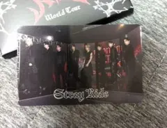 スキズ　Stray Kids　東京ドーム　アプグレ　トレカ　集合　ワルツ