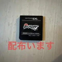 ポケットモンスターブラック 配布