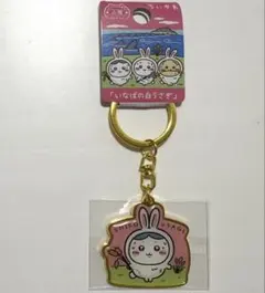 ちいかわ ご当地 キーホルダー 山陰 いなばの白うさぎ ハチワレ