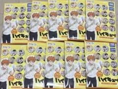 カラパレ ハイキュー！！ より道 缶バッジ　10点