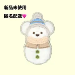 シークレット・オブ・スノーウィーデイ ☆ ダッフィー パッチン