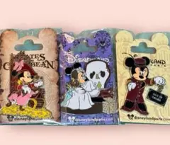 ディズニー ミニーマウス ピンバッジ ピントレ ホーンテッドマンション ディズニー ミニーマウス ピンバッジ ピントレ ホーンテッド