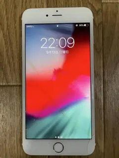 Apple iPhone6 plus