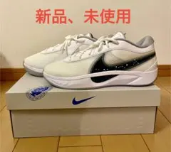 NIKE、ズームフリーク6 EP、27.5センチ