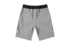 nikelab ACG acronym グレー ショートパンツ US S