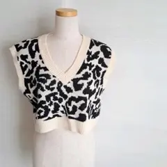SHEIN ♡シーイン　ベスト　ニットベスト　Vネック　レオパード