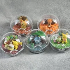 ポケモン　リーメント　テラリウムコレクション　セット　おまけ付き