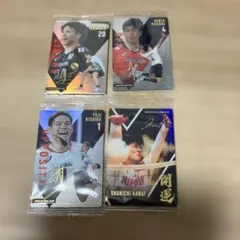 バレーボール男子 日本代表 ツインウエハース 4枚セット