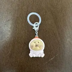 こびとづかん めじるしアクセサリー カクレモモジリ