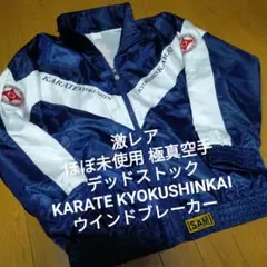 Item thumbnail for item ec40f333-6af5-4389-810e-5489d2c77ec3