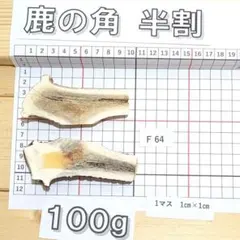 鹿の角 半割 F64 100g 兵庫県産 鹿角 鹿のツノ しかつののサムネイル