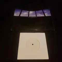 THA BLUE HERB 12インチレコード - メルカリ